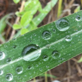 Truths From Past Reflections: What I Discovered In A Raindrop